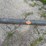 #8088-•-steel-stock-(cont.)-image-1
