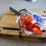 24"-hnsavrqua-chainsaw-365-image-2