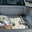 2009-ford-f150-image-6