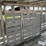 1982-barrett-livestock-image-20