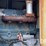 2015-b-b-dry-tender-trailer-(jn2633)-image-58