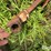 new-holland-354-image-10