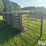 freestanding-panels-w/gate-image-5