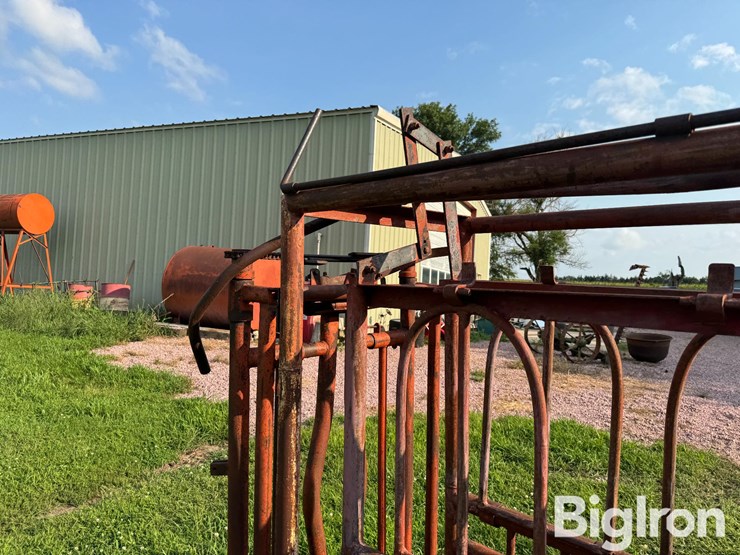 cattle-chute-image-19
