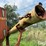 new-holland-354-image-15
