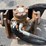 ditchwitch-sk5pal-auger-mount-image-5