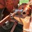 1961-allis-chalmers-d17-image-18
