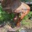pengo-10"-auger-attachment-image-2