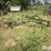john-deere-100-image-1
