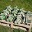 john-deere-11-image-2