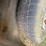 #68-•-#26110-•-2010-dodge-ram-pickup-vin:-1d7rv1gt3as218850-image-9