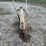 oliver-10”-walking-plow-image-5
