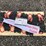 #4095-•-unused-2024-landhonor-(8)-paladin-7-ft-double-legs-lifting-chain-sling-image-1