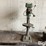 international-75-image-2