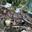 #49-•-#25354-•-inop-2008-international-ma025-s/a-daycab-waste-truck-1htmmaanx8h659094-image-27