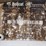 bobcat-t250-image-67