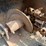 2006-ditch-witch-42"-trencher-attachment-image-5