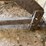buggy-jack-and-studebaker-buggy-seat-image-29