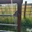 freestanding-panels-w/gate-image-9