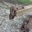 oliver-10”-walking-plow-image-4
