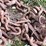 #7484-•-(2)-tire-chains-image-5