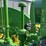 john-deere-model-a-image-31
