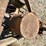 oliver-superior-walking-planter-image-16