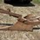 mccormick-deering-no.-415-7”-walking-plow-image-15