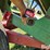 dakon-280-image-10