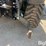 2014-john-deere-1025r-image-16
