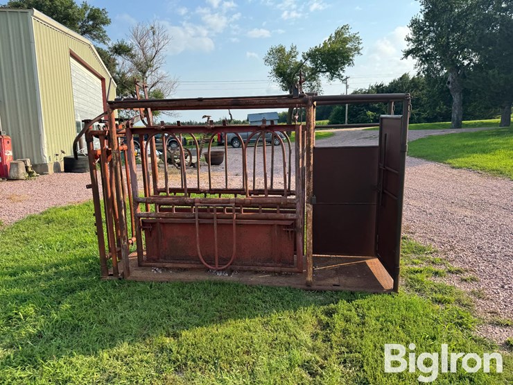 cattle-chute-image-4