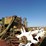 john-deere-55-image-2