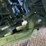 2017-international-prostar-image-12
