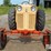 case-530-image-13