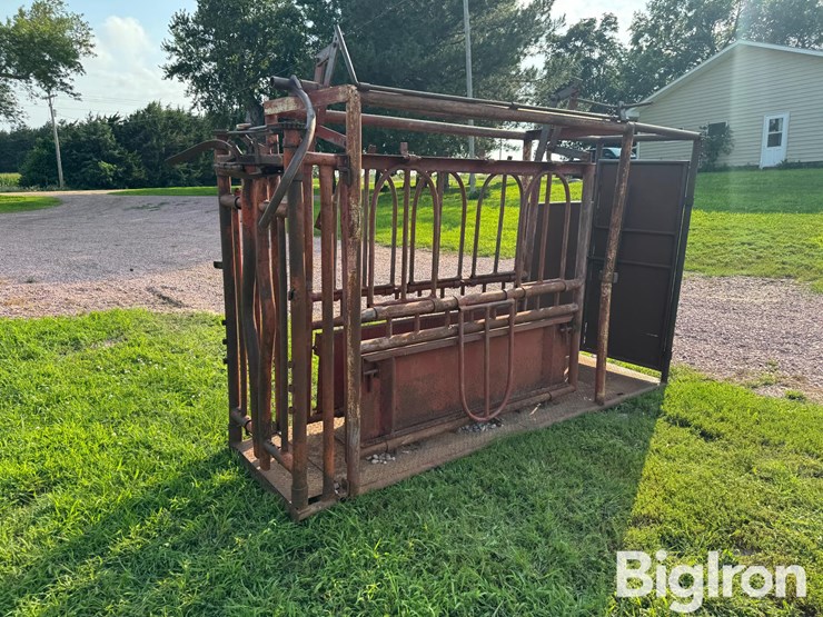 cattle-chute-image-5