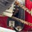 case-ih-1200-image-16