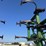 2004-john-deere-2210-image-26