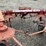 new-holland-162-image-14