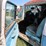 1956-ford-4dr-sedan-for-project-or-parts-image-5