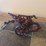 (2)-wheel-barrow-and-oliver-plow-image-3