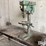 international-75-image-1