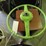 1940's-ford-steering-wheel-image-3