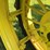 john-deere-model-a-image-41