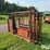 cattle-chute-image-7