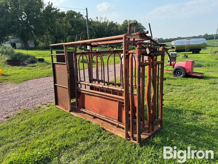 cattle-chute-image-7