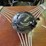 ford-banjo-steering-wheel-image-2