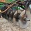 1989-john-deere-630-image-8