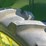 john-deere-model-b-image-39