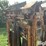 cattle-chute-image-17