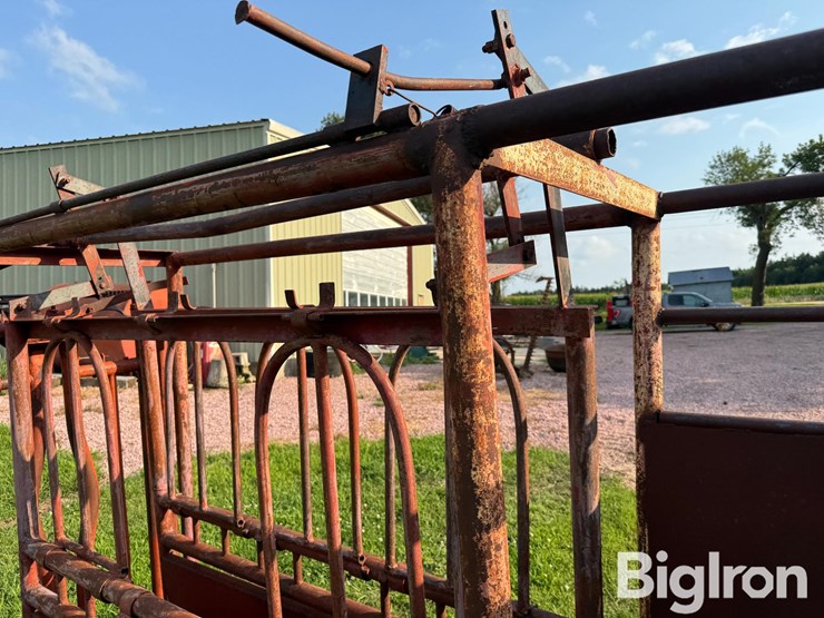 cattle-chute-image-17